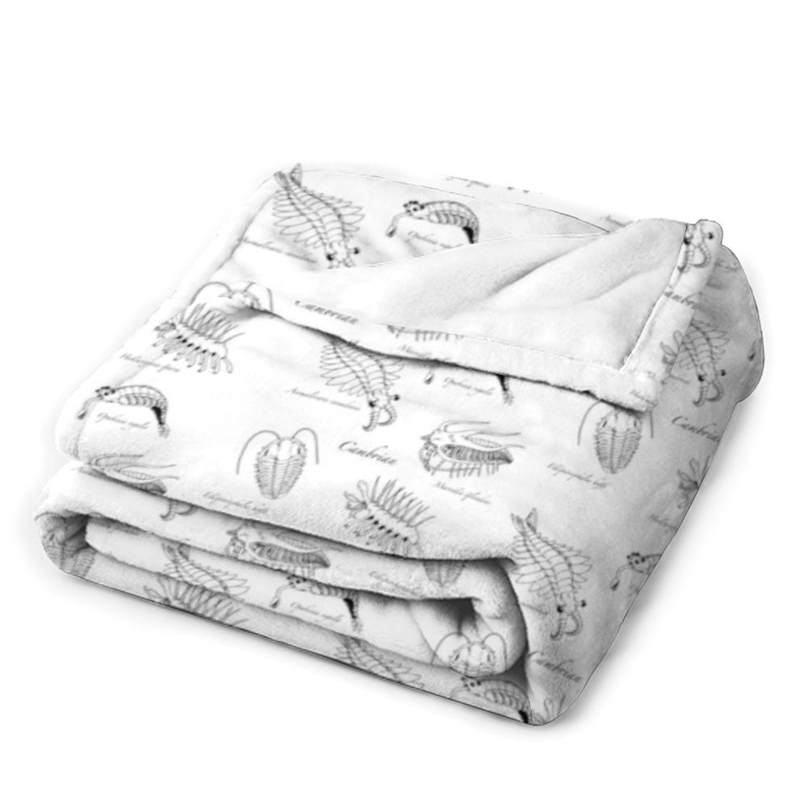 Cambrian Life (font in stile s - Luxury Lifestyle Font recensione e prezzo